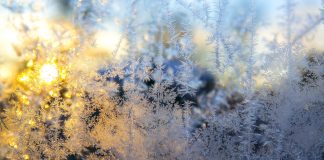 Изображение из фотобанка