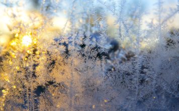 Изображение из фотобанка