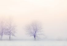 Изображение из фотобанка