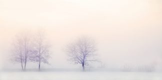 Изображение из фотобанка