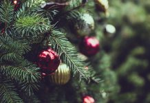 Новый год, елка. Изображение из фотобанка