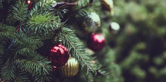 Новый год, елка. Изображение из фотобанка