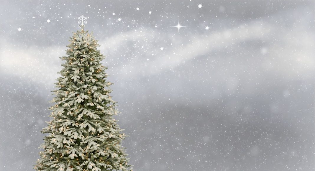 Новый год, елка. Изображение из фотобанка