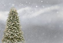 Новый год, елка. Изображение из фотобанка