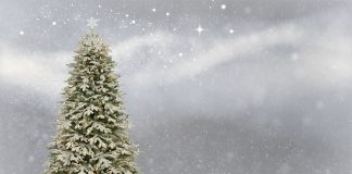 Новый год, елка. Изображение из фотобанка