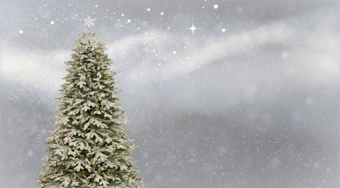 Новый год, елка. Изображение из фотобанка