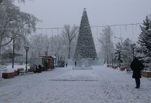 Фото: Абакан.рф