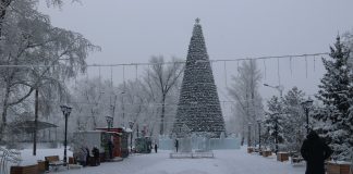 Фото: Абакан.рф
