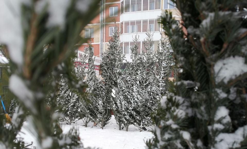 Фото: Абакан.рф