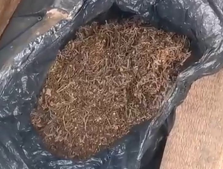 Фото Госавтоинспекции Фото Госавтоинспекции