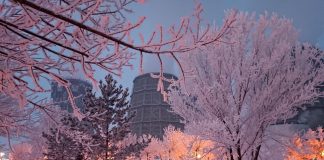 Фото из телеграм-канала СГК