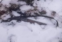 Фото из телеграм-канала Минприроды РХ