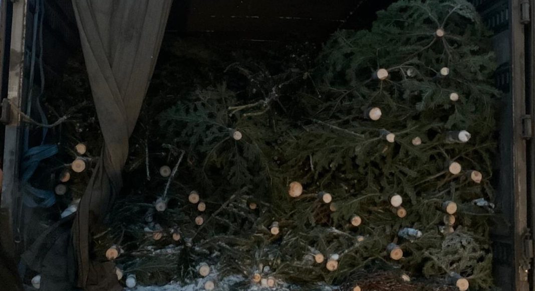 Фото из телеграм-канала Минлеса РХ