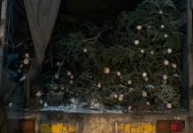 Фото из телеграм-канала Минлеса РХ