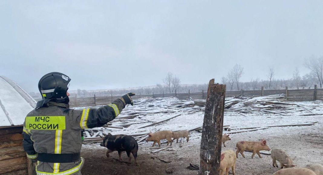 Фото МЧС