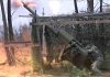 Сводка Минобороны о ходе СВО по состоянию на 20 июня Источник: Минобороны РФ