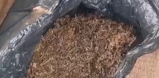 Фото МВД России по РХ