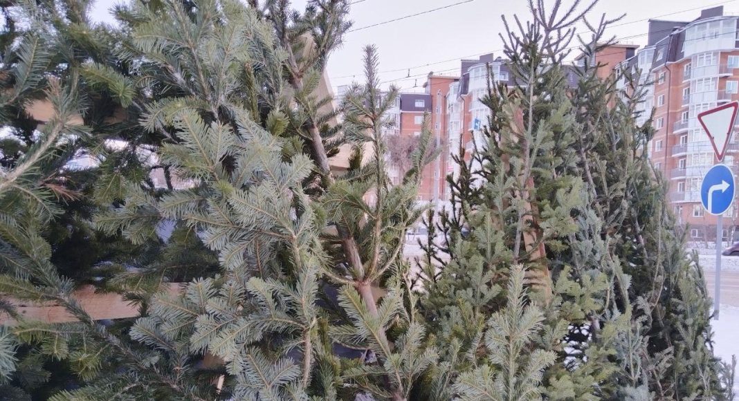 Фото: Абакан.рф