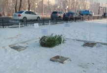 Фото: Абакан.рф