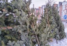 Фото: Абакан.рф