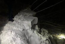 Фото из телеграм-канала прокуратуры Красноярского края