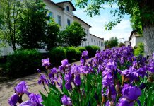 Фото из телеграм-канала Минстрой РХ