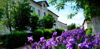 Фото из телеграм-канала Минстрой РХ