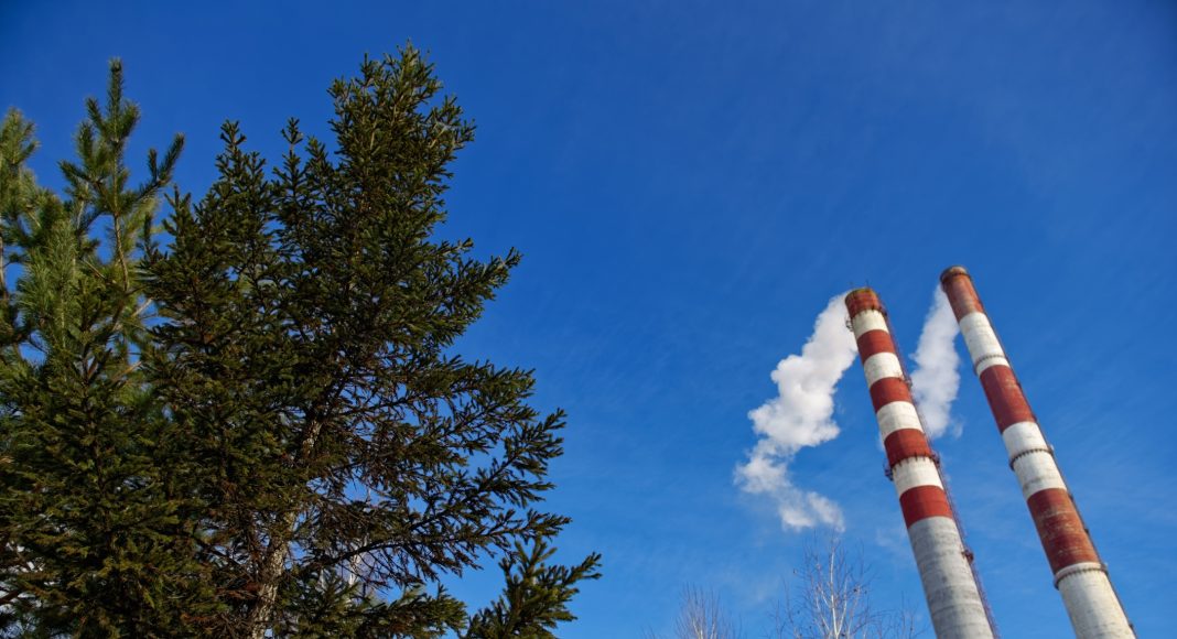 Фото предоставлено пресс-службой СГК