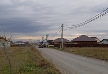 Фото предоставлено пресс-службой «Россети Сибирь»