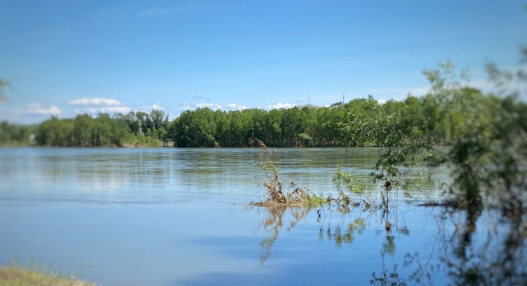 Фото: r-19.ru Фото: r-19.ru