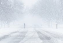 метель, ветер, зима, дорога, гололед, мороз