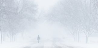 метель, ветер, зима, дорога, гололед, мороз