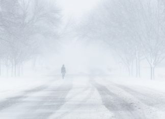 метель, ветер, зима, дорога, гололед, мороз