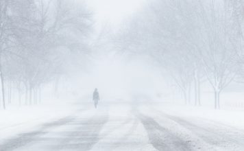 метель, ветер, зима, дорога, гололед, мороз