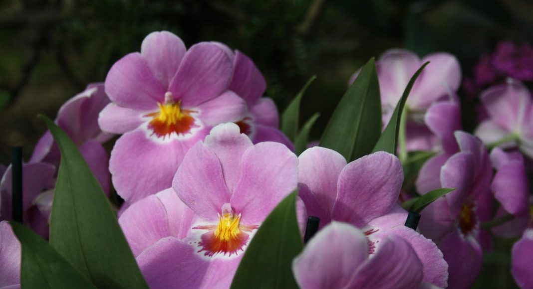 Изображение из фотобанка.