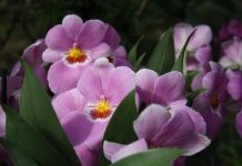 Изображение из фотобанка.