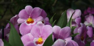 Изображение из фотобанка.