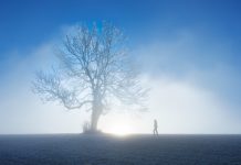 туман, изморозь, мороз,