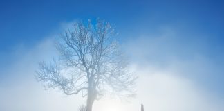 туман, изморозь, мороз,