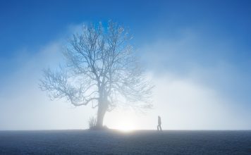 туман, изморозь, мороз,