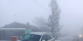 Фото Госавтоинспекции
