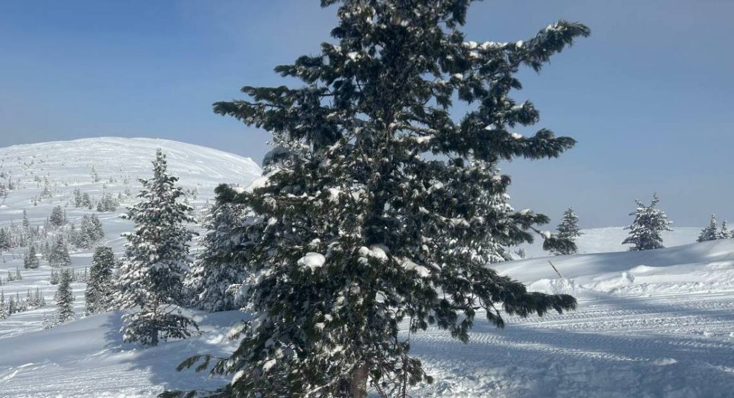 Фото ГСУ СК