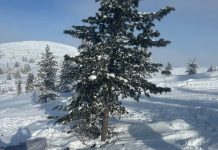 Фото ГСУ СК