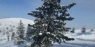 Фото ГСУ СК