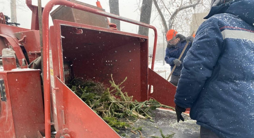 Фото из телеграм-канала Минлеса РХ