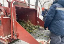 Фото из телеграм-канала Минлеса РХ