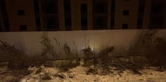 Фото МВД