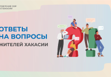 Источник: СФР