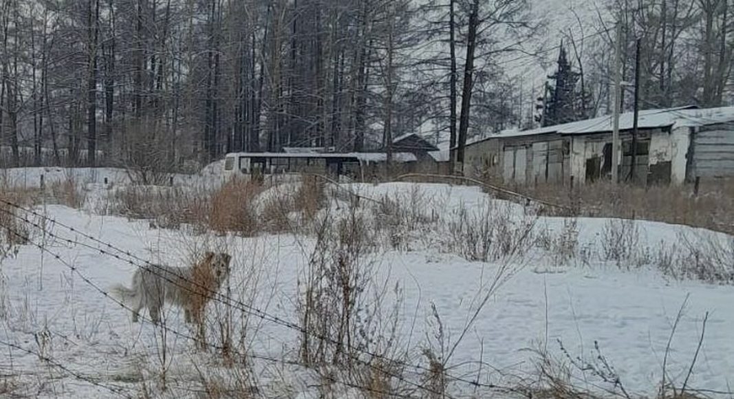 Фото предоставлено пресс-службой прокуратуры РХ Фото предоставлено пресс-службой прокуратуры РХ