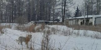 Фото предоставлено пресс-службой прокуратуры РХ